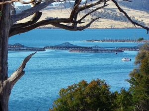 Tasmania gets $6.5m aquaculture research facility